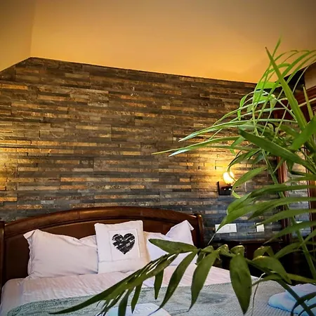 La Cuib Cristian Sibiu Guest house