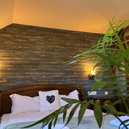 Guest house La Cuib Cristian Sibiu *